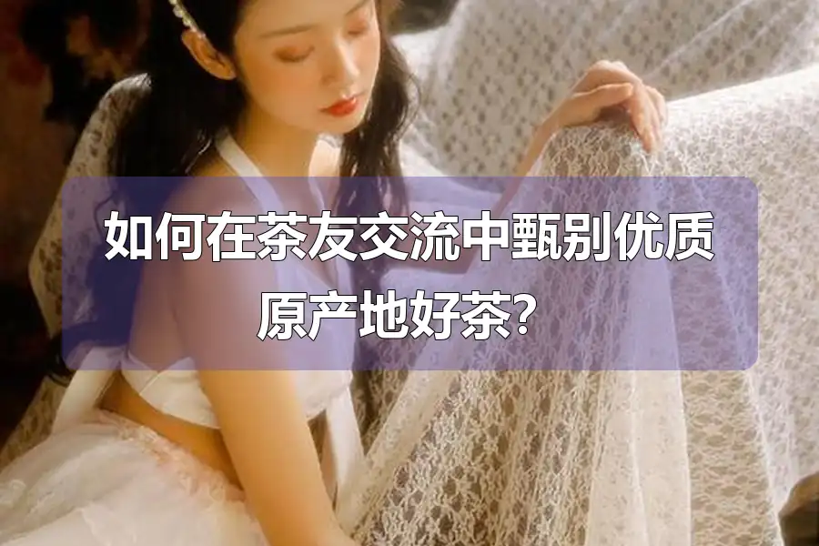 如何在茶友交流中甄别优质原产地好茶？